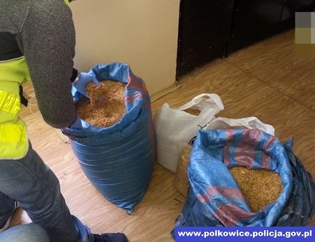 POLKOWICE. Nielegalny tytoń w sklepie zielarskim