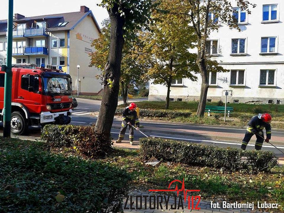 ZŁOTORYJA. Olej na drodze wojewódzkiej