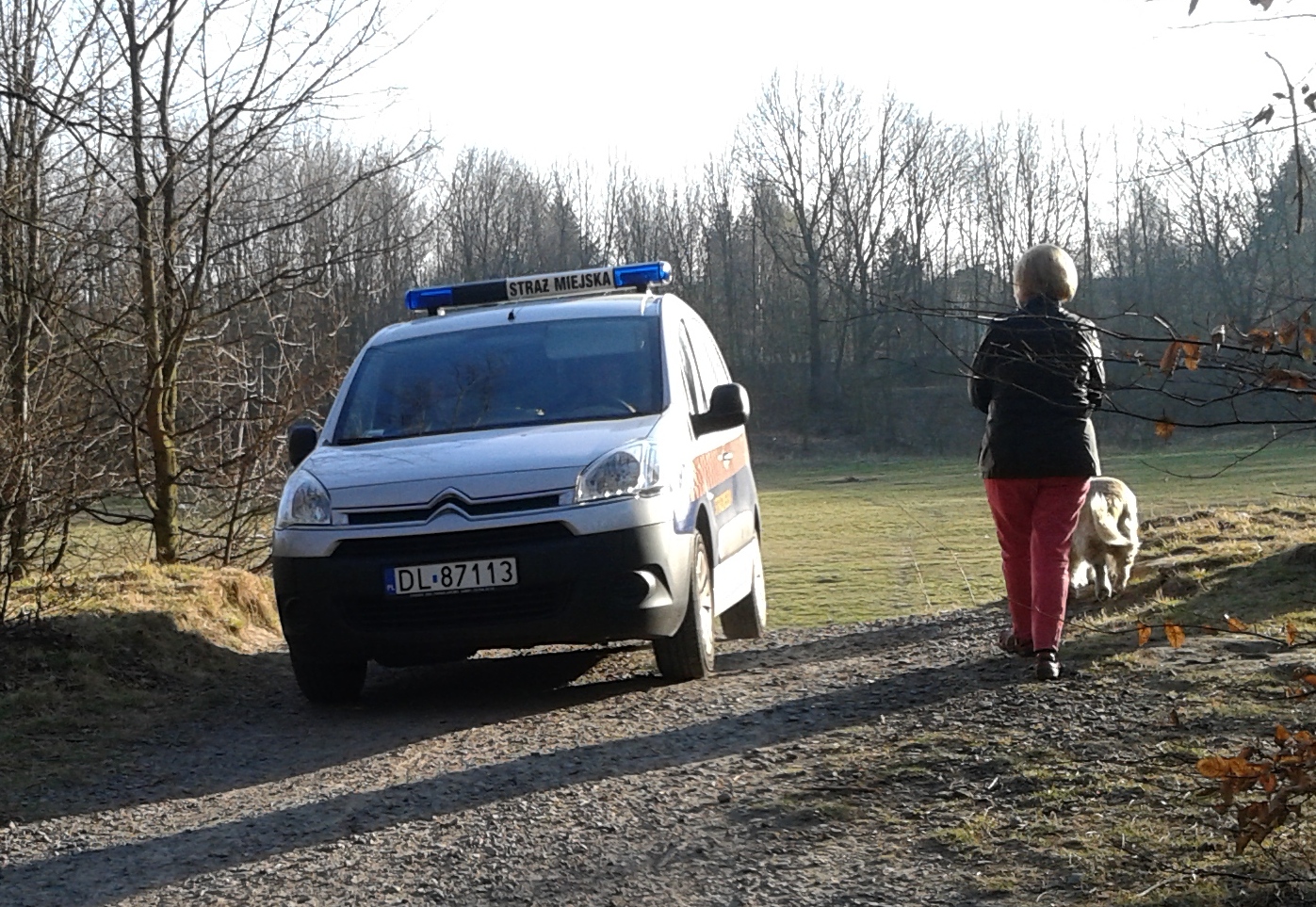 LEGNICA. Hotelowe śmieci w Lasku Złotoryjskim