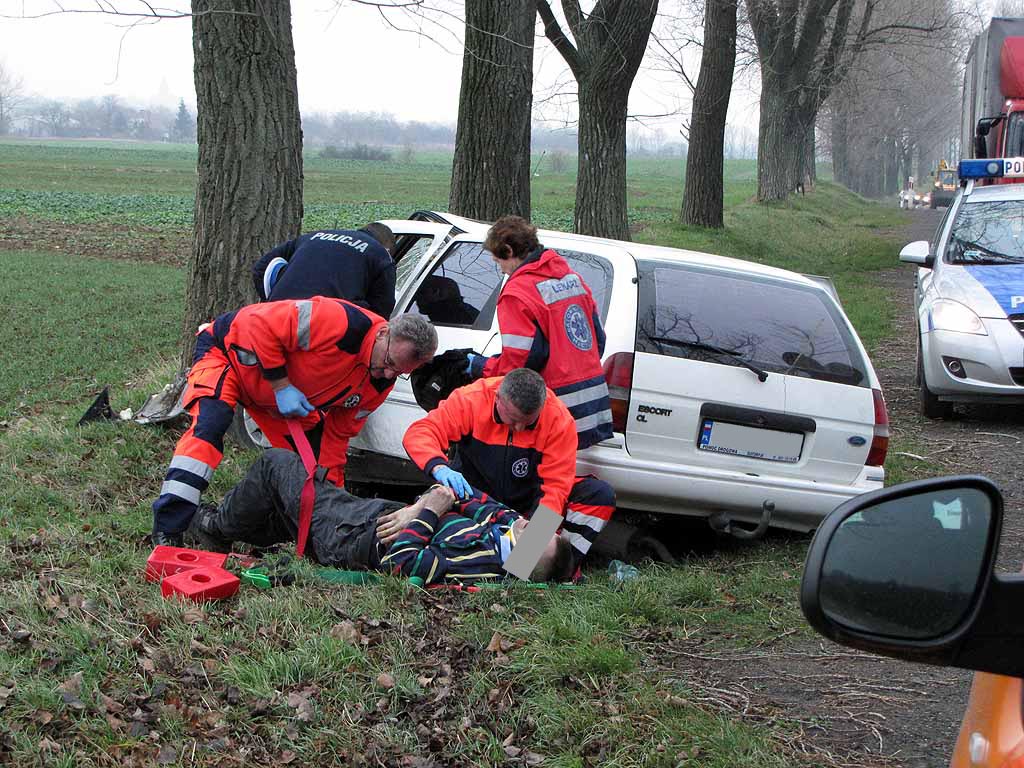 JAWOR/ZŁOTORYJA. Ford uderzył w drzewo (FOTO, WIDEO)