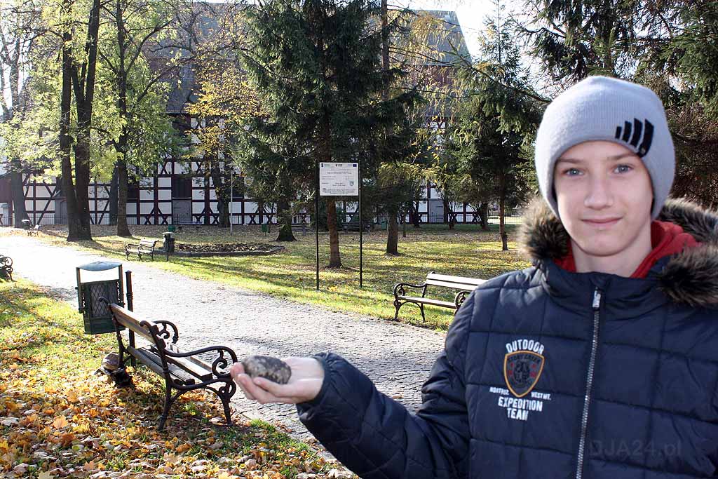 JAWOR. Znaleźli meteoryt? (FOTO, WIDEO)