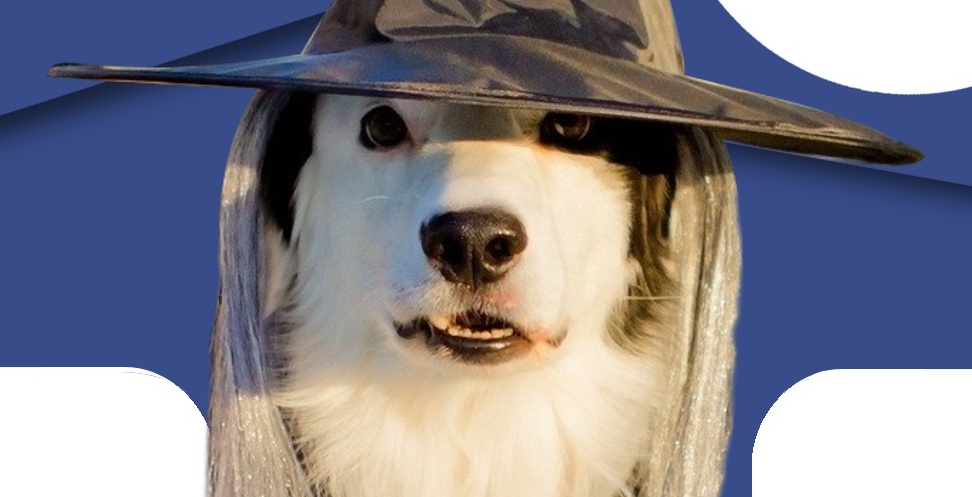 JAWOR. Trwa odliczanie godzin do wielkiego balu