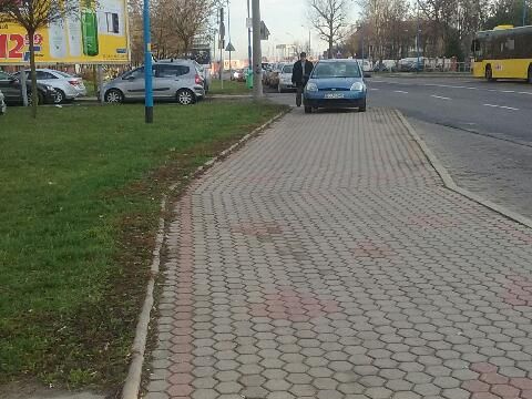 LUBIN. Bezczelność na chodniku