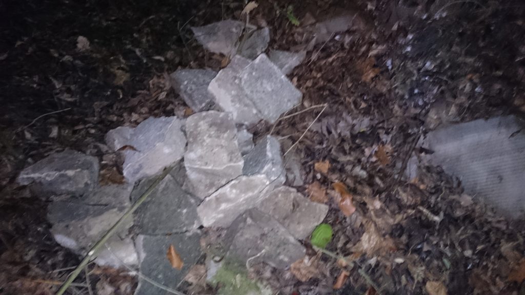 LEGNICA. Pod osłoną nocy pozbył się gruzu