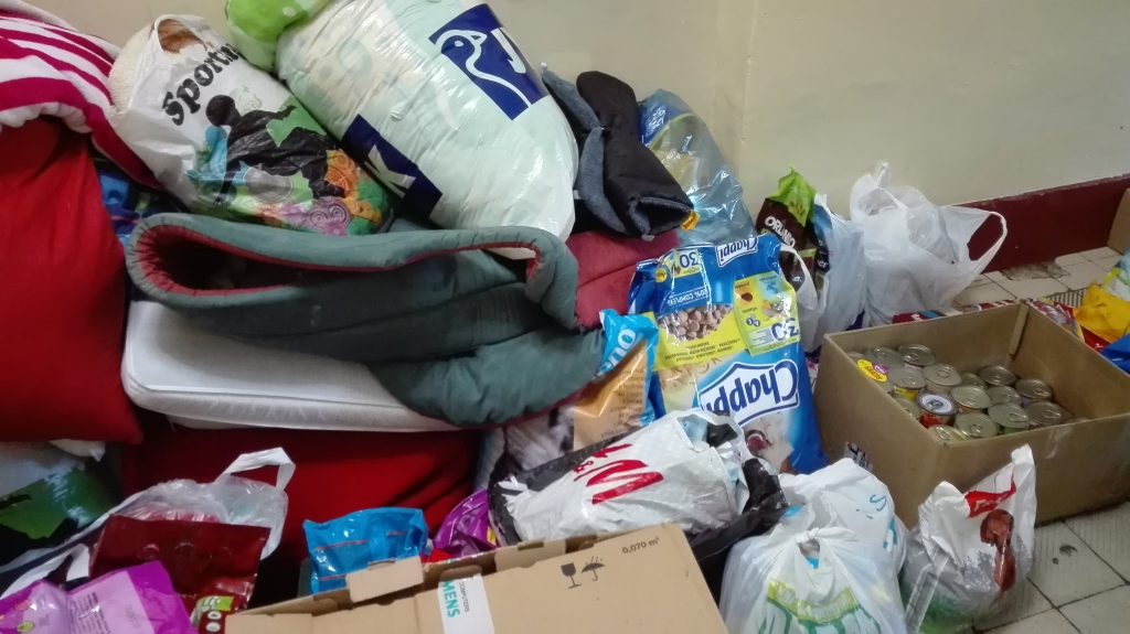 GŁOGÓW. Dary trafiły do schroniska (WIDEO)