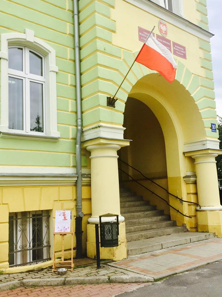 LEGNICA. Dla człowieka zabawa, dla psa ból