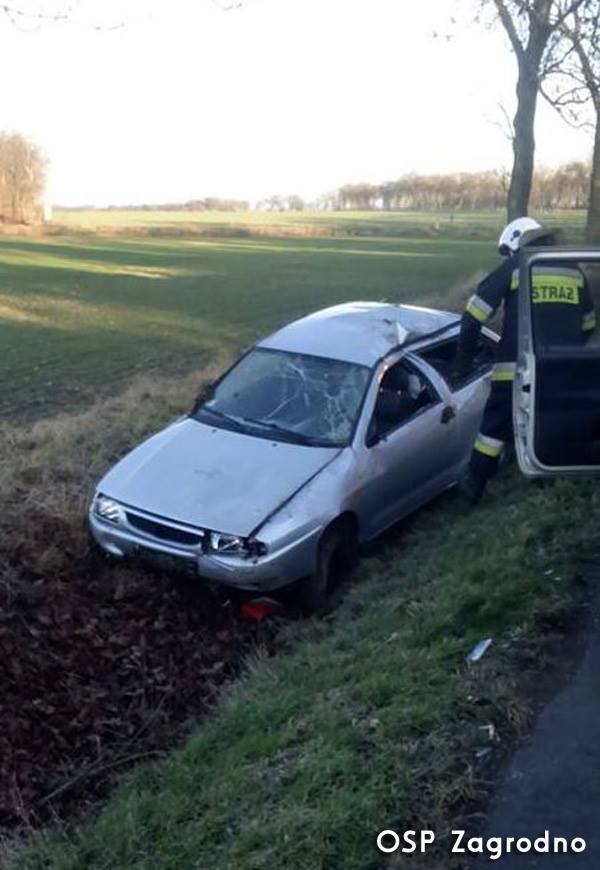 ZŁOTORYJA. Seat ibiza wypadł z drogi