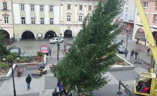JAWOR. Zielony gigant stanął w rynku