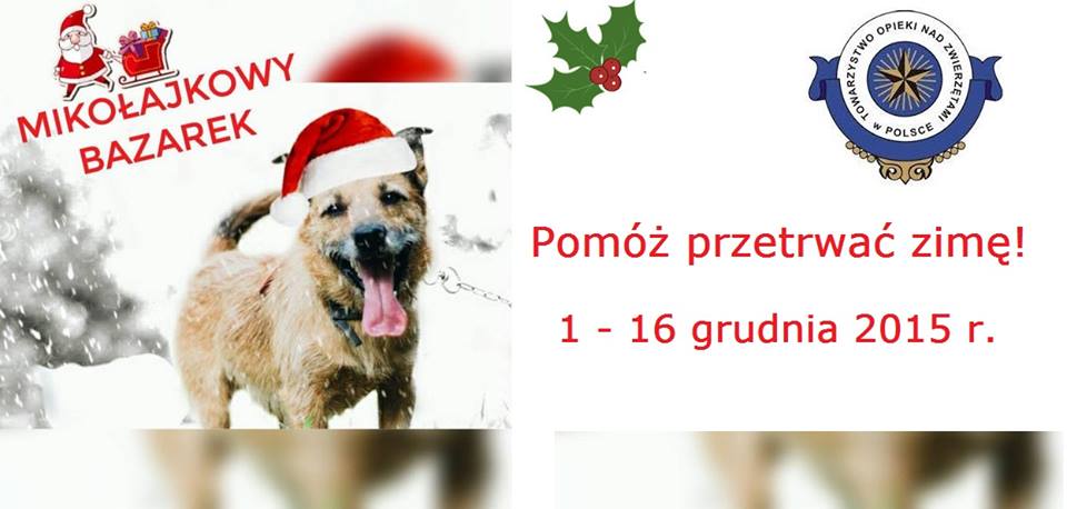 JAWOR. Pomagają przetrwać zimę