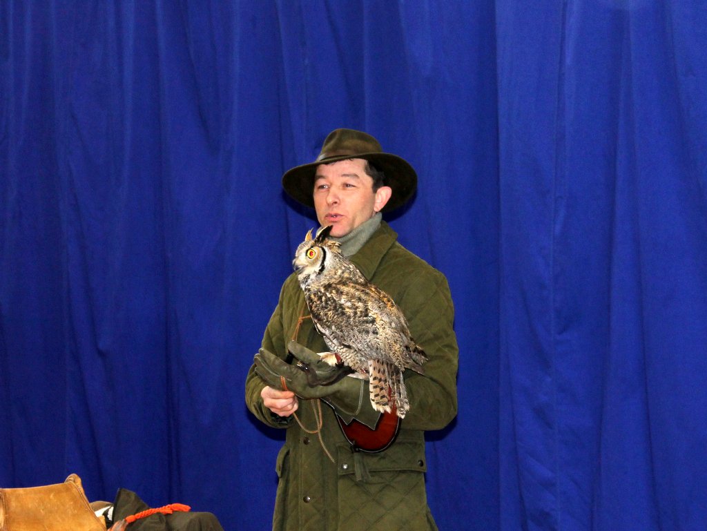 GŁOGÓW. Sokolnictwo pasja czy zawód? (WIDEO)