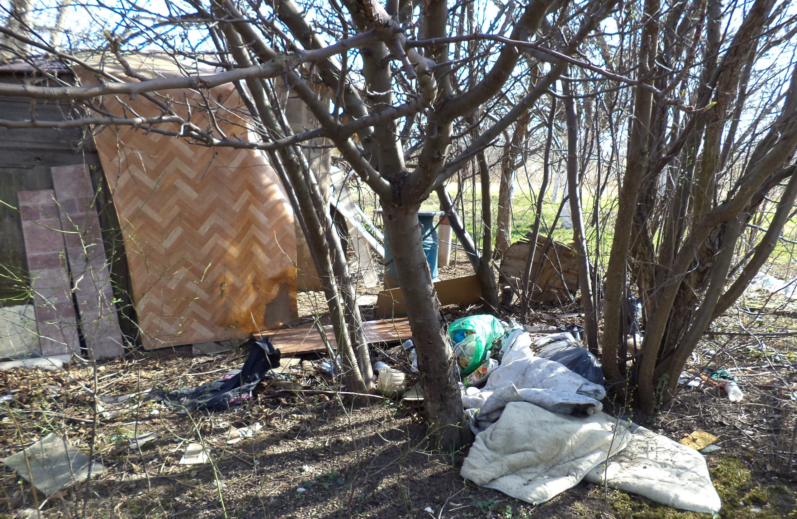 LEGNICA. Mrozy dokuczają bezdomnym