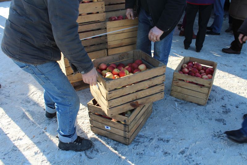 PROCHOWICE. Nie taki owoc zakazany (FOTO, WIDEO)