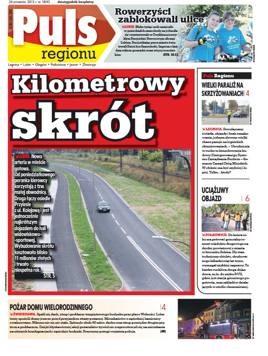 Puls Regionu 43