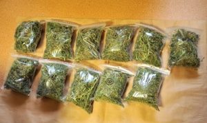 marihuana