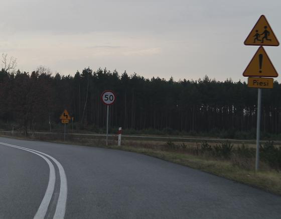JAWOR. Piesi pod lupą policji
