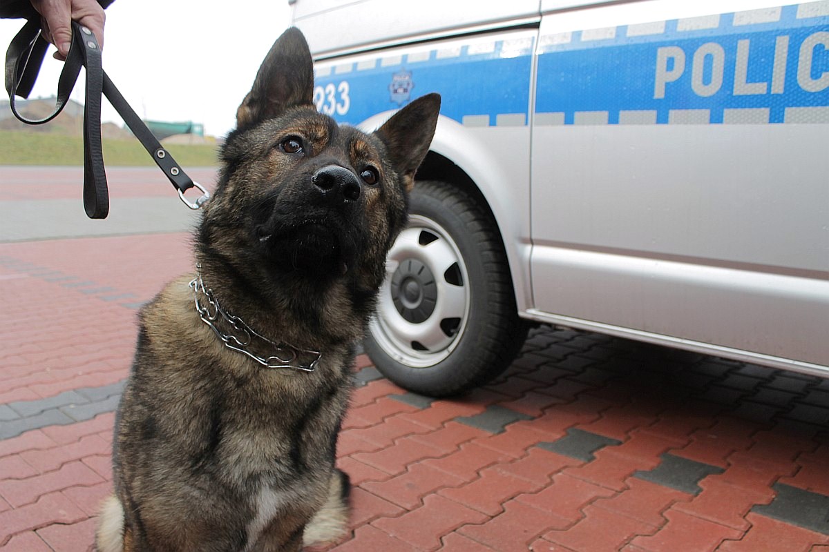 LUBIN. Nowy spec od narkotyków