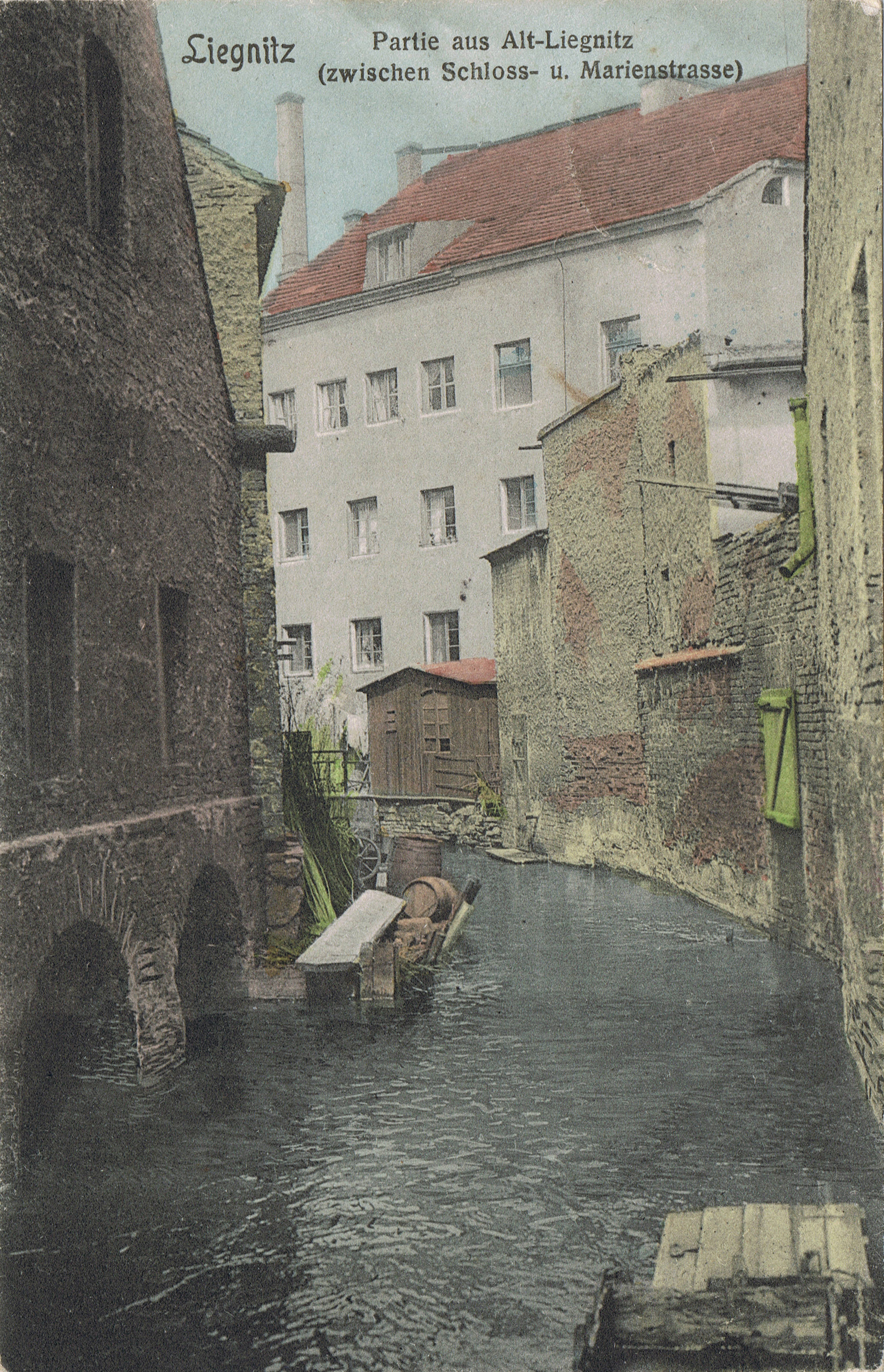 LEGNICA. Młynówka, czyli… temat rzeka (WIDEO)