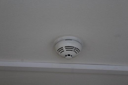 JAWOR. Czujka uratowała życie