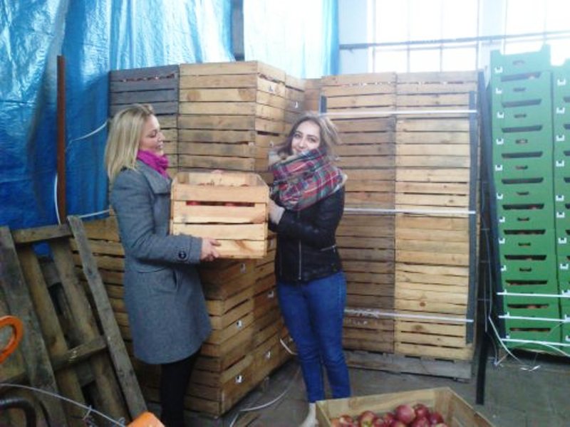 LEGNICKIE POLE. Jabłka na bis