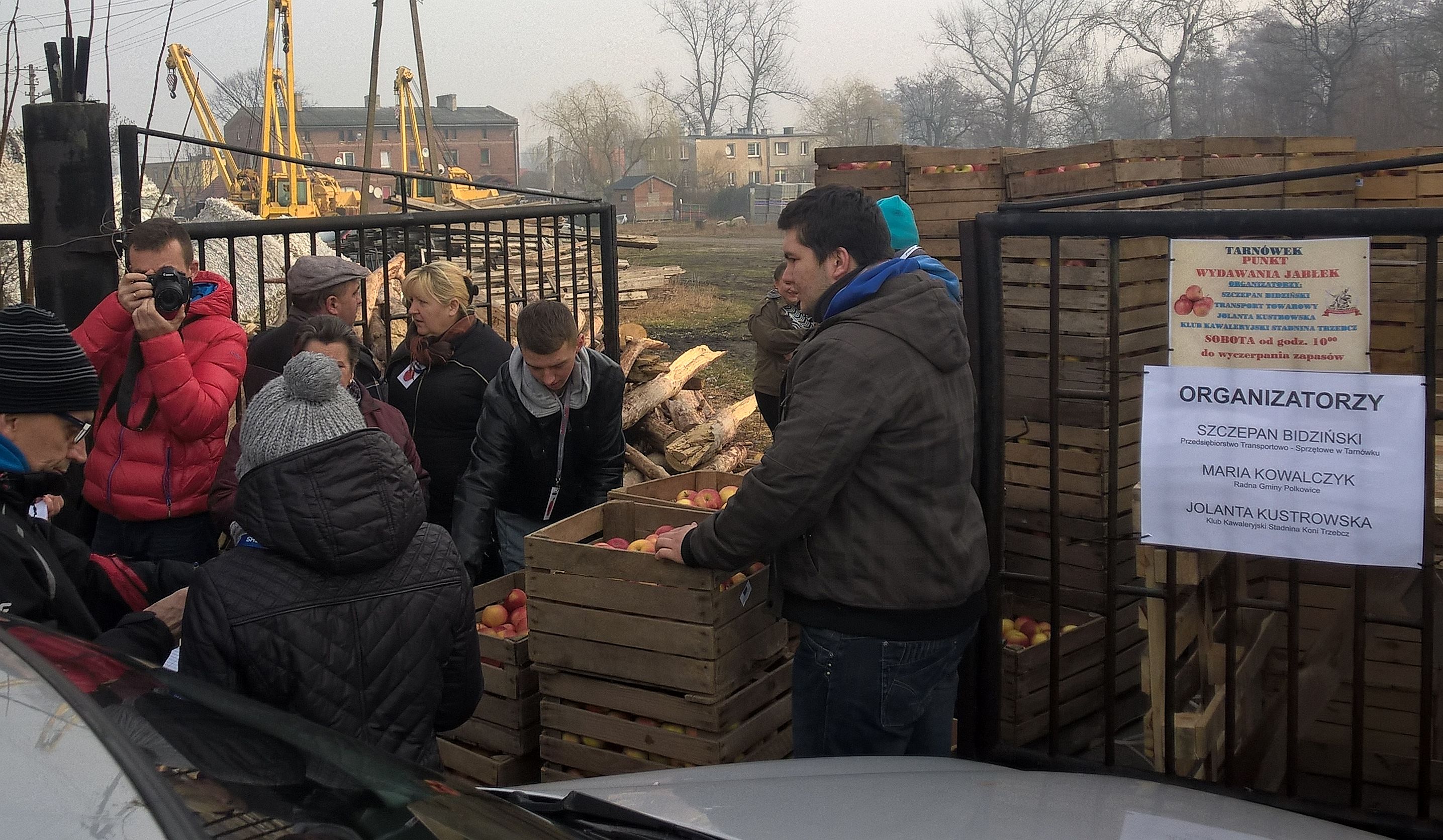 POLKOWICE. Za darmo rozdali 45 ton jabłek