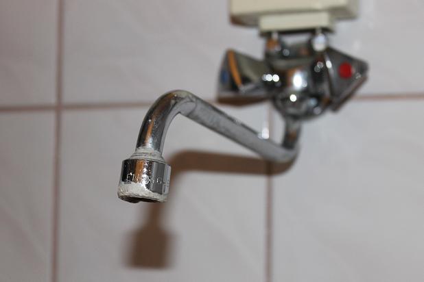 GMINA CHOJNÓW. Bakterie E. coli w wodzie