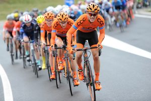 Das Team CCC Sprandi Polkowice macht das Rennen kurz vor dem Ziel schwer und schnell - Aktion - Rennszene - Querformat - quer - horizontal - Event / Veranstaltung: 13. Istrian Spring Trophy - Istarsko Proljece 2016 - Stage 1 / 1.Etappe: Porec/Parenzo to/nach Labin/Albona 158.0 km - Location / Ort: Umag/Umago - Istria/Istrien - Croatia/Kroatien - Europe/Europa - Date/Datum: 11.03.2016