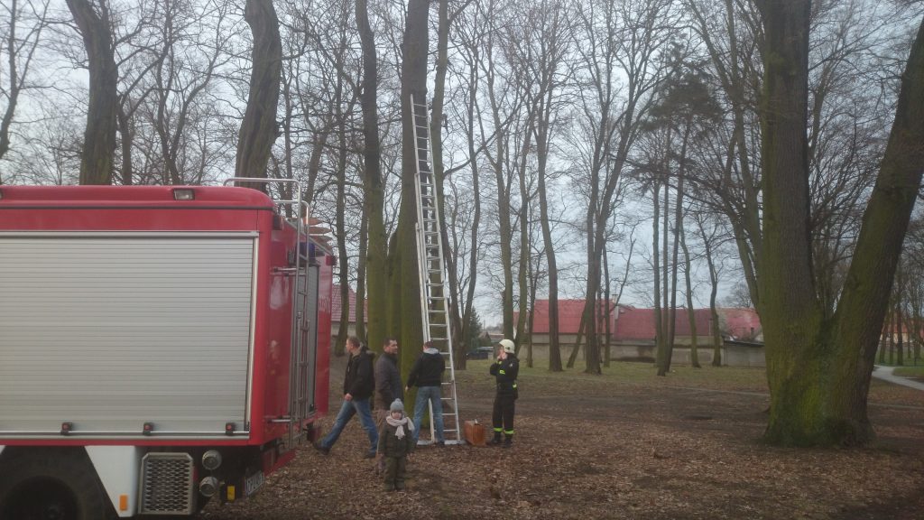 GAWORZYCE. Strażackie budki dla ptaków