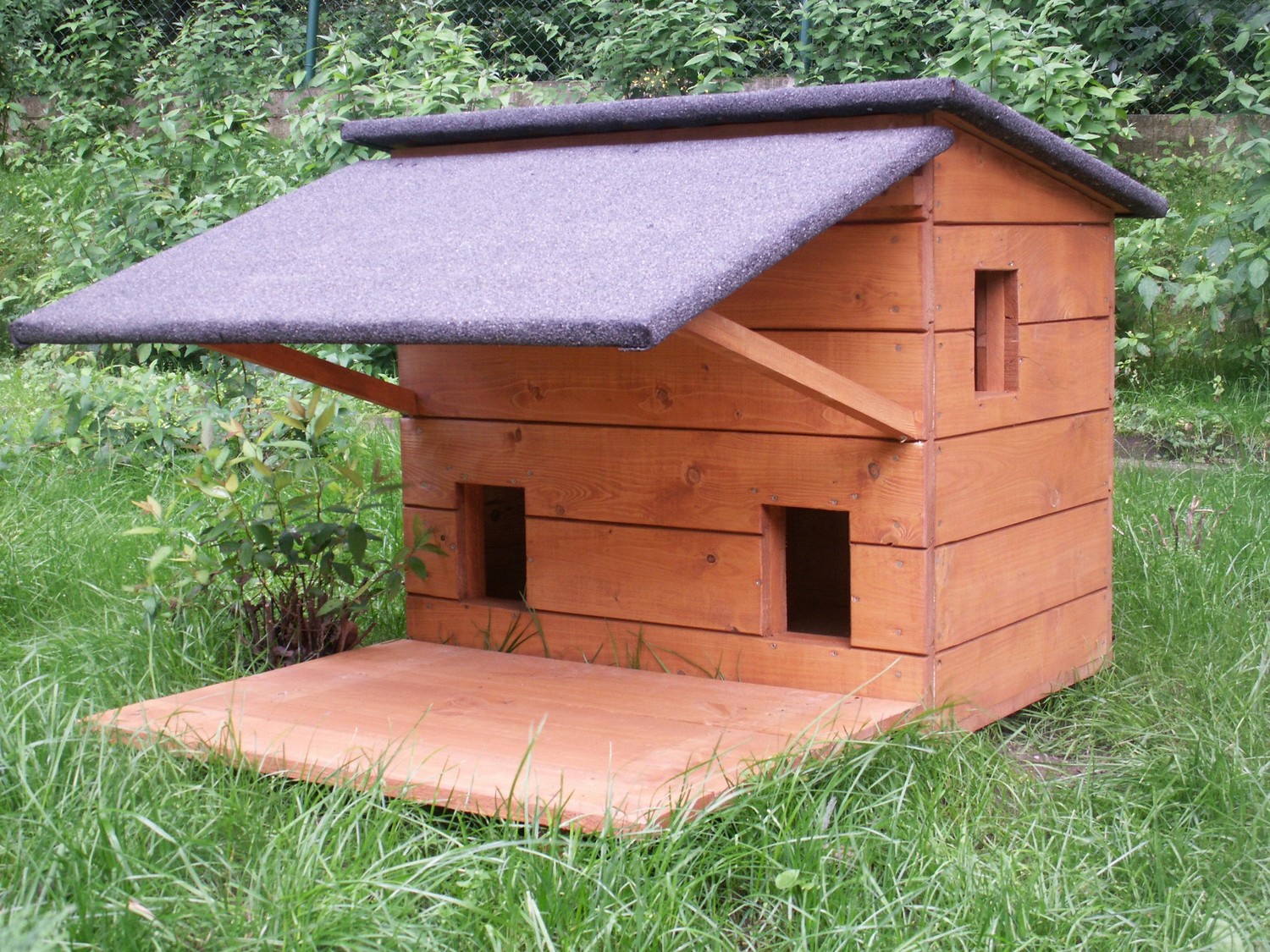 POLKOWICE. Gmina kupi domki dla…kotów (WIDEO)