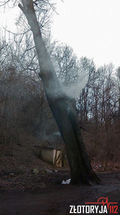 ZŁOTORYJA. Wracając z pożaru uratowali mężczyznę