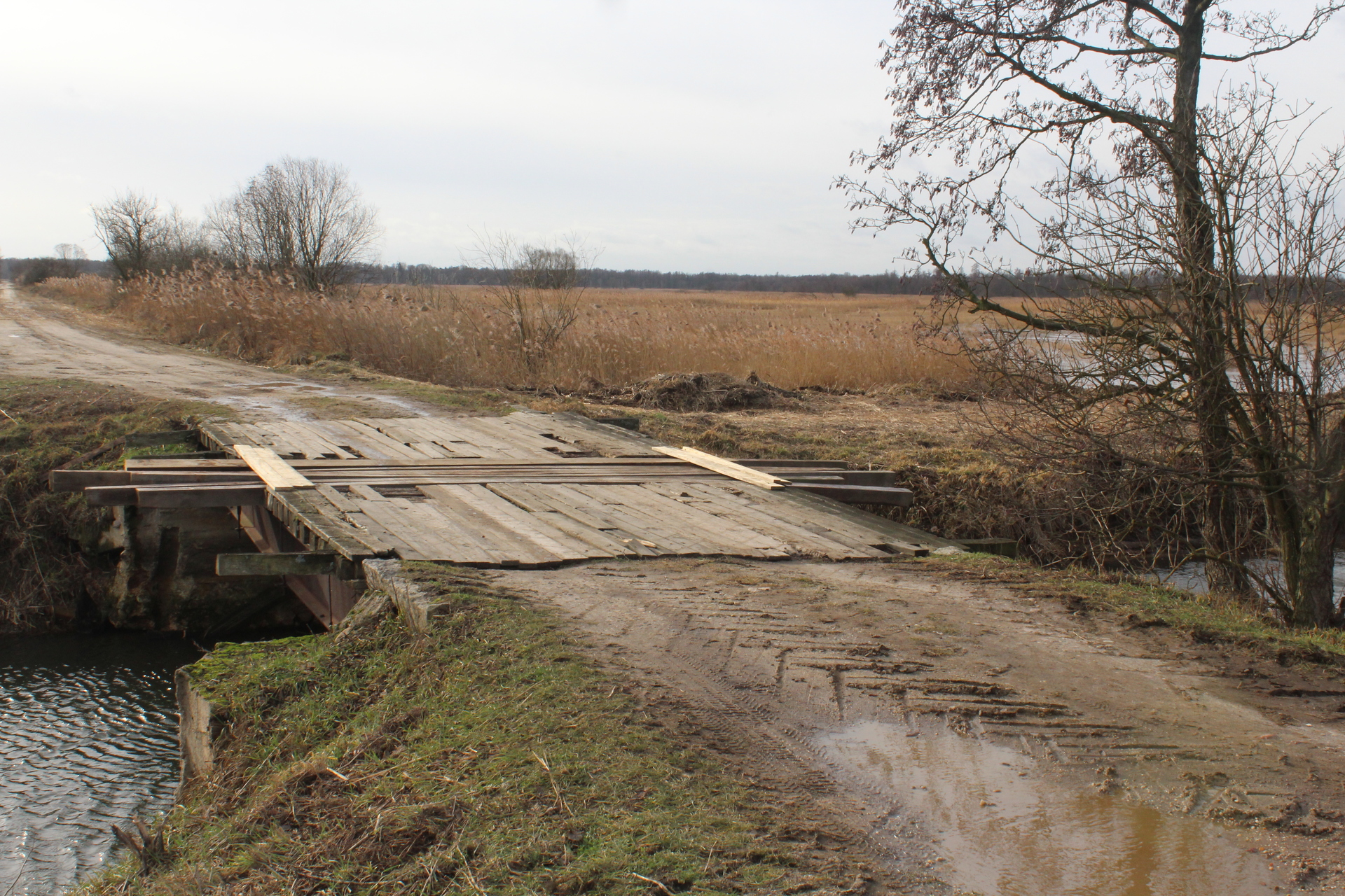 POWIAT POLKOWICKI. Ćwiczą na dawnych poligonach