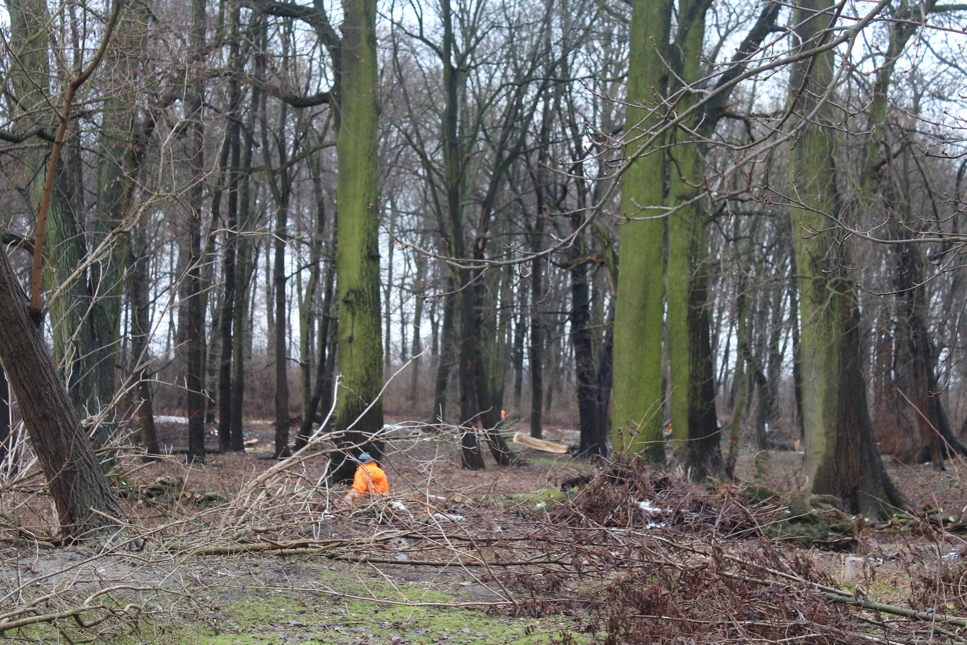 GRĘBOCICE. Park w Retkowie znów dla mieszkańców (FOTO, WIDEO)