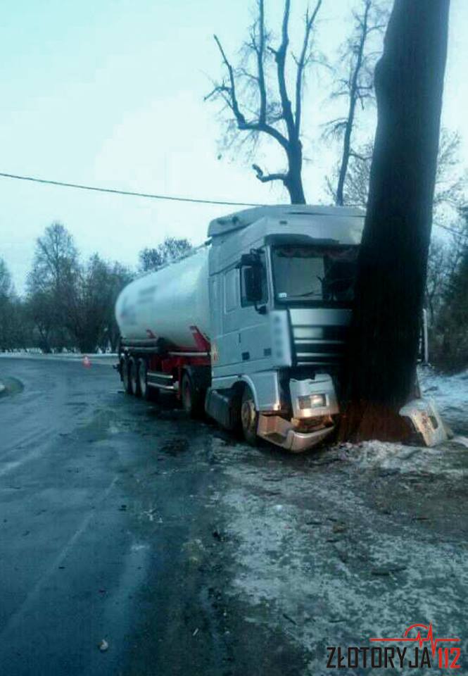 ZŁOTORYJA. Samochód uderzył w drzewo
