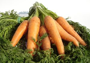 carrot-1321564