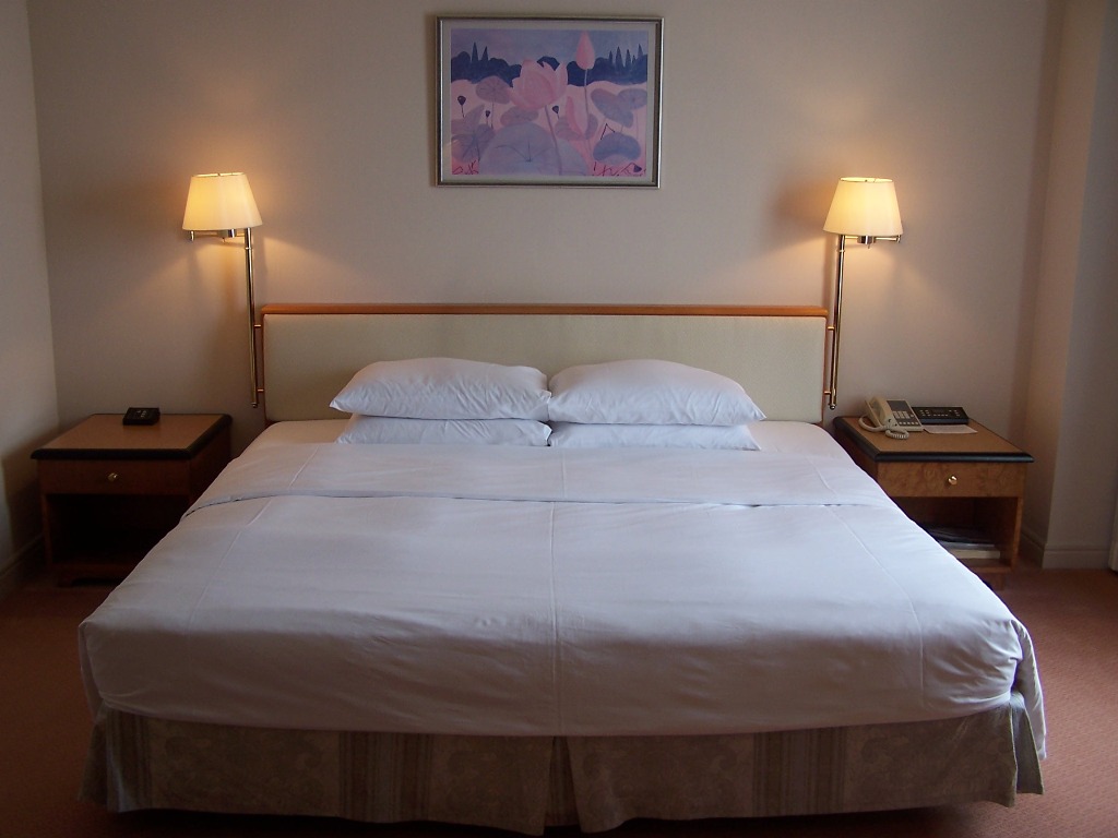 LEGNICA. Hotelowy gang okradał głównie cudzoziemców (WIDEO)