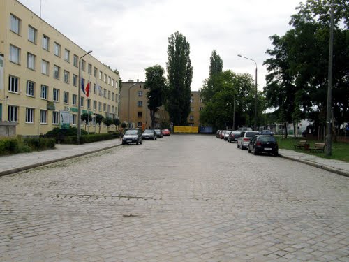 GŁOGÓW. Będą przekonywać pracodawców