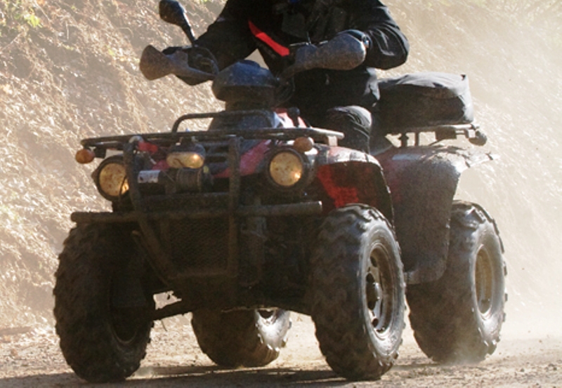 Quady rozjeżdżają lasy