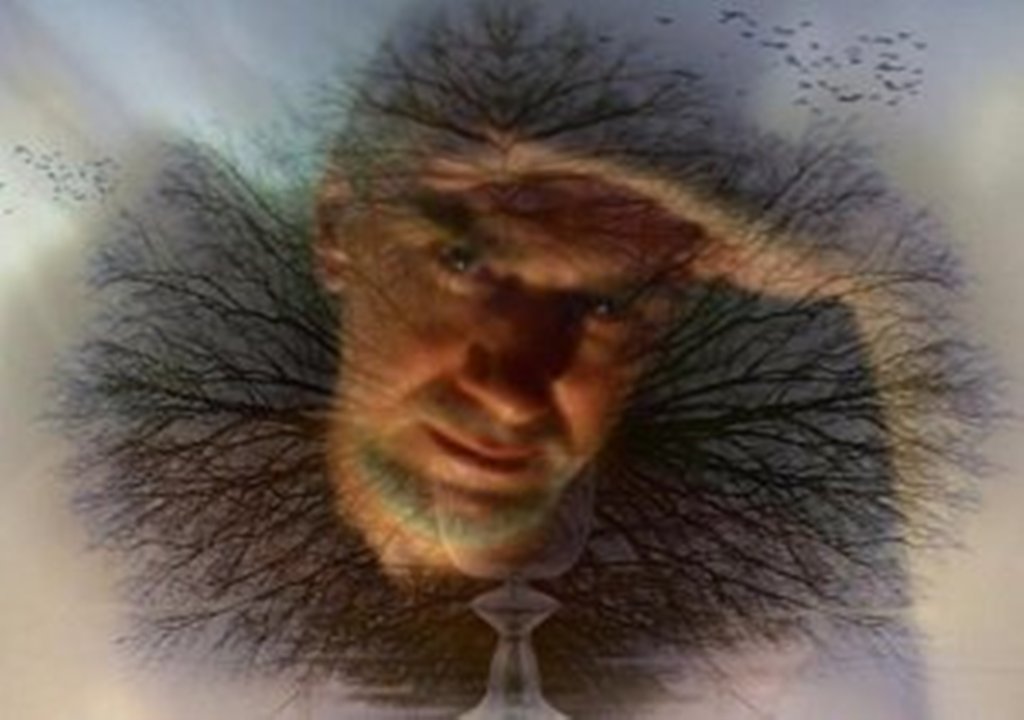 LEGNICA. Rydwany ognia