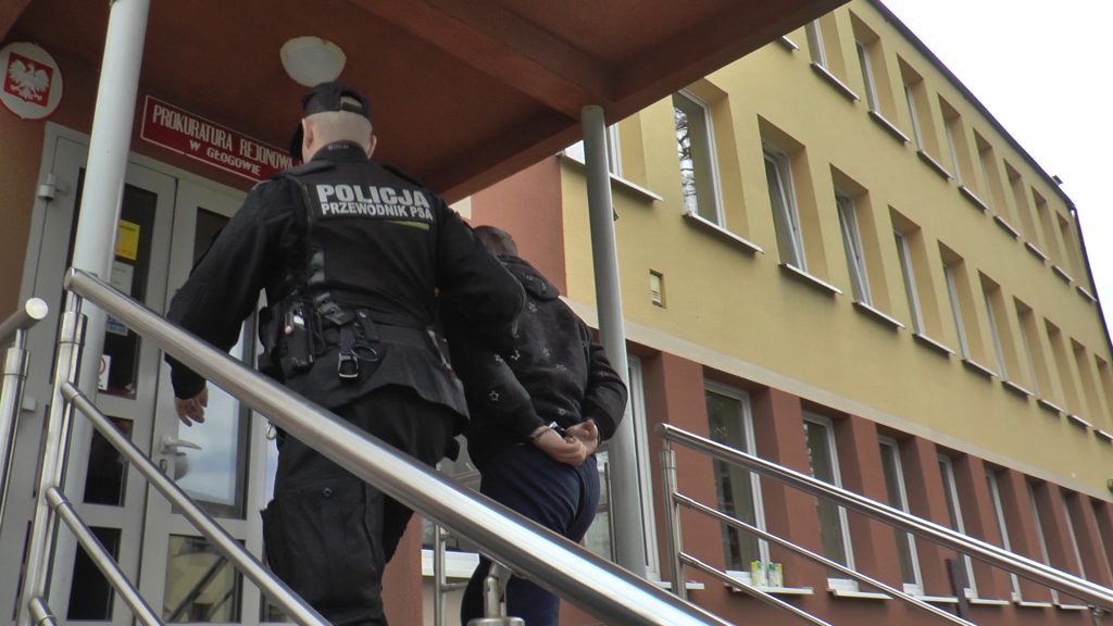 RADWANICE. Seryjny podpalacz w rękach policji (WIDEO)