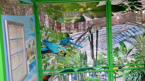 LEGNICA. Na przystanku jak w palmiarni