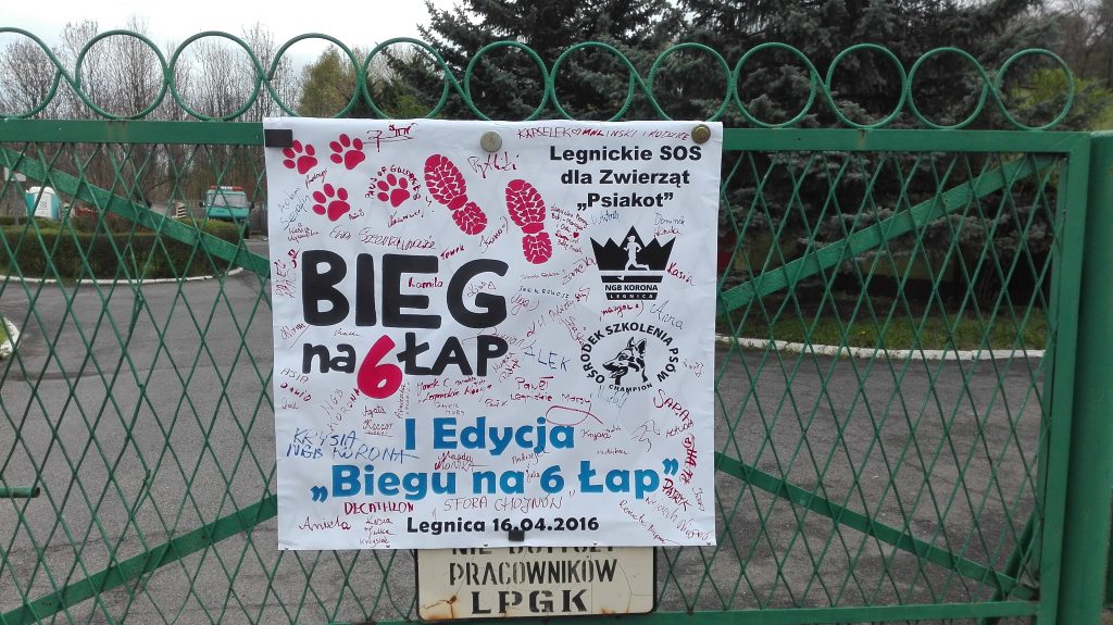 LEGNICA.”Bieg na 6 łap” (FOTO)