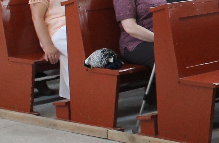 JAWOR. Seniorka zasnęła w kościele. Pomogli policjanci