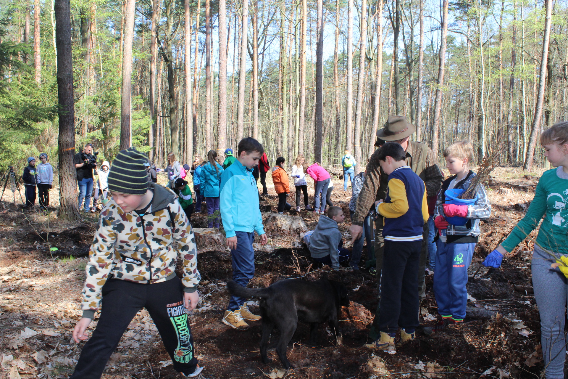 POLKOWICE. Festiwal Ziemi w całej gminie (FOTO)