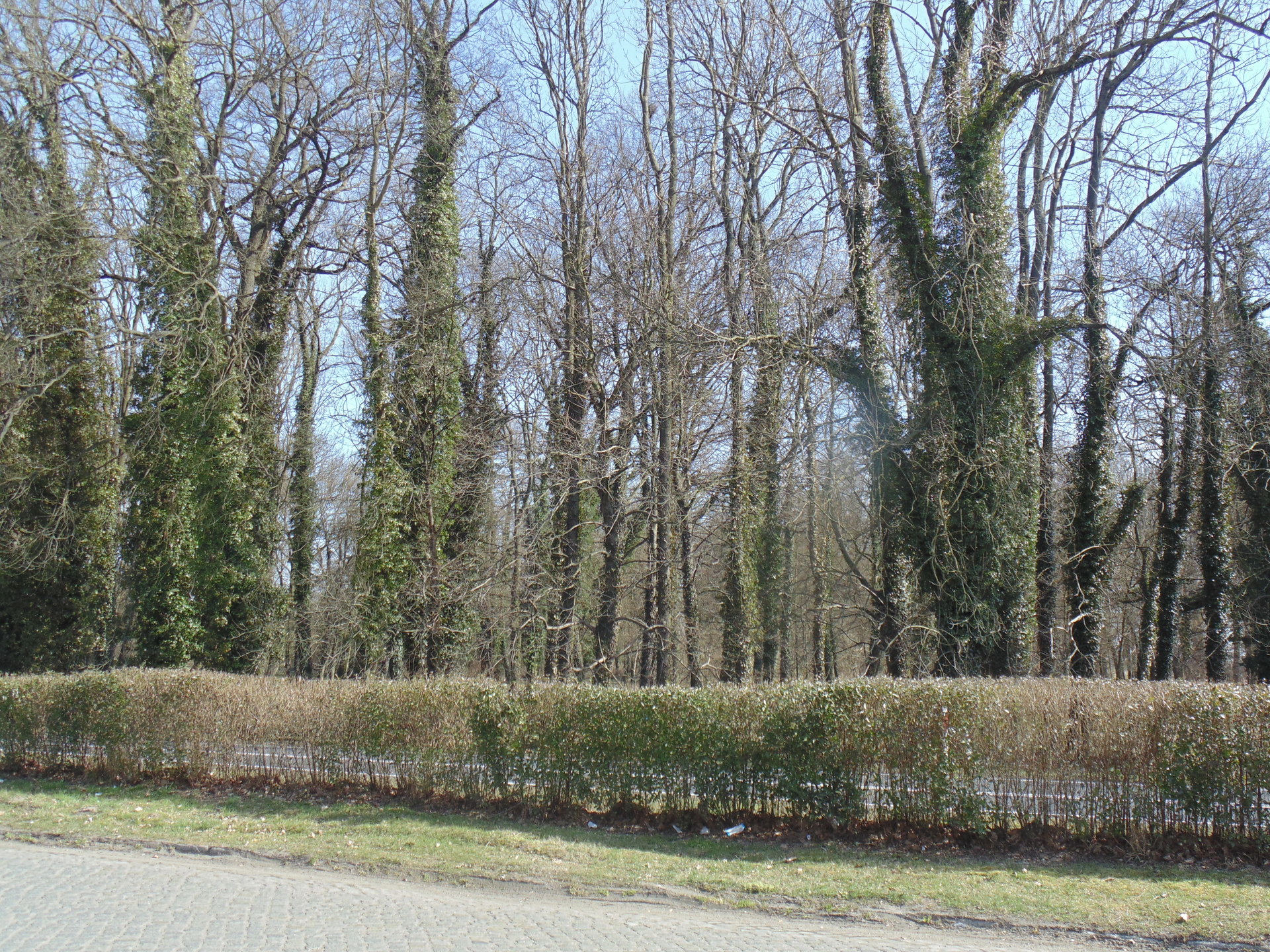 GMINA RADWANICE. Będzie rewitalizacja zabytkowych parków