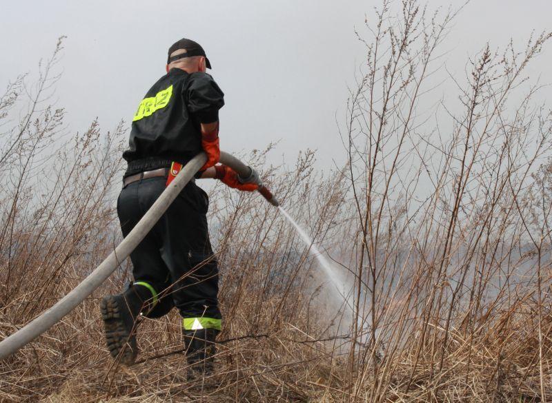 Idzie wiosna – płoną trawy