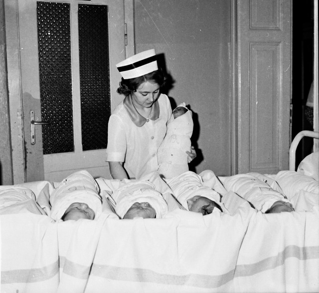 JAWOR. Białej służby wspomnień czar