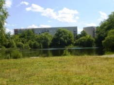 LEGNICA. Sprzątanie w Lasku Złotoryjskim