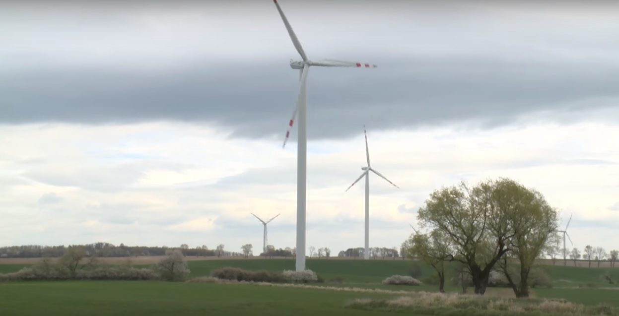 LEGNICKIE POLE. Walka z wiatrakami (WIDEO)