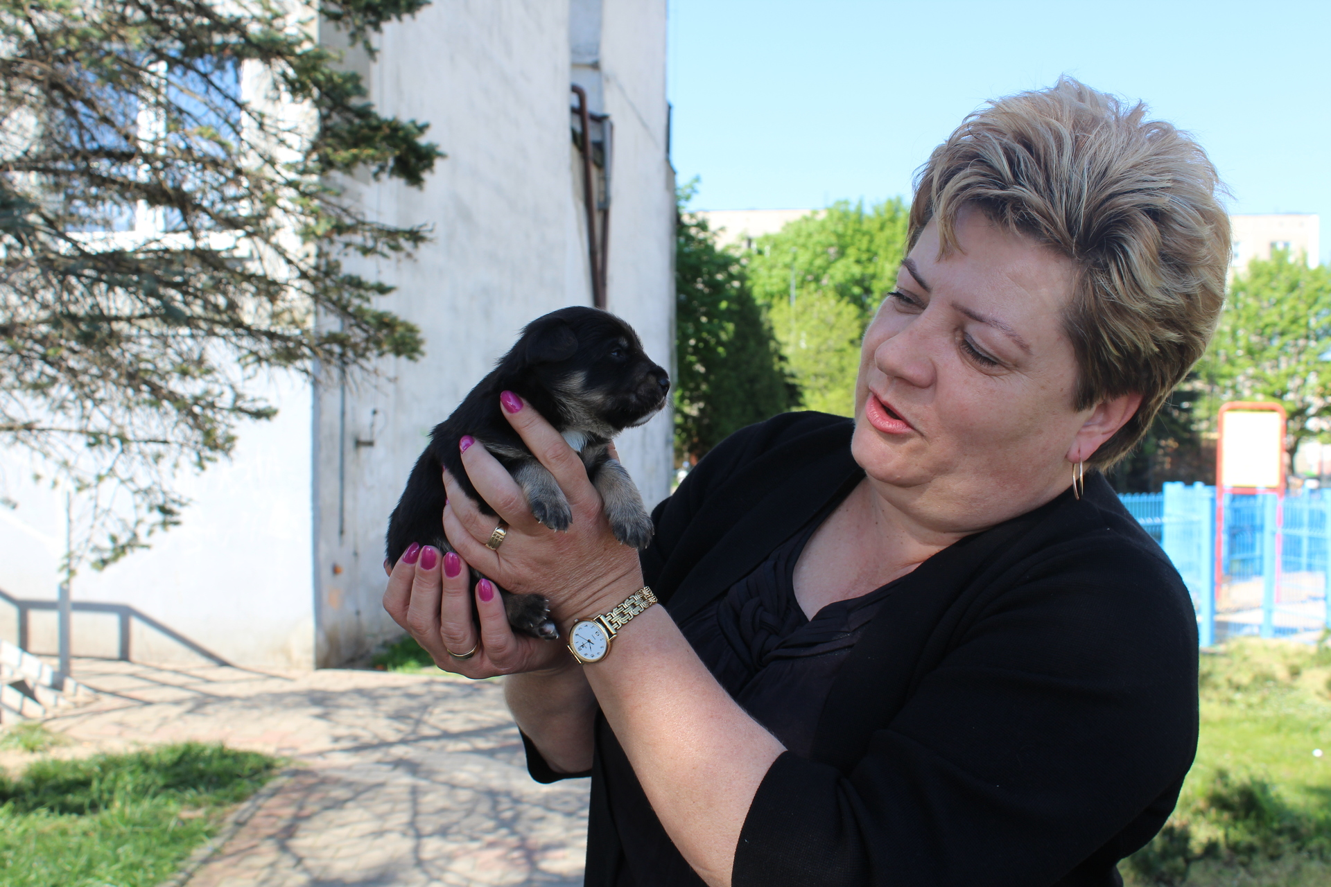 POLKOWICE. Farciarz dostał drugie życie (WIDEO)