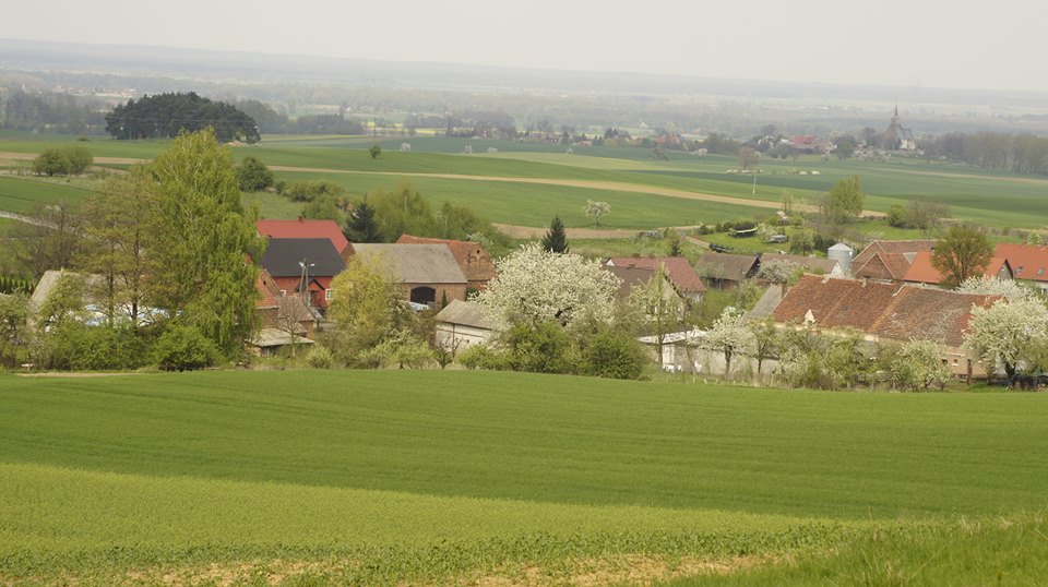 REGION. Wybudują gazociąg