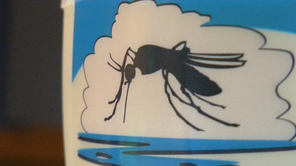 GŁOGÓW. Walczą z komarami (WIDEO)